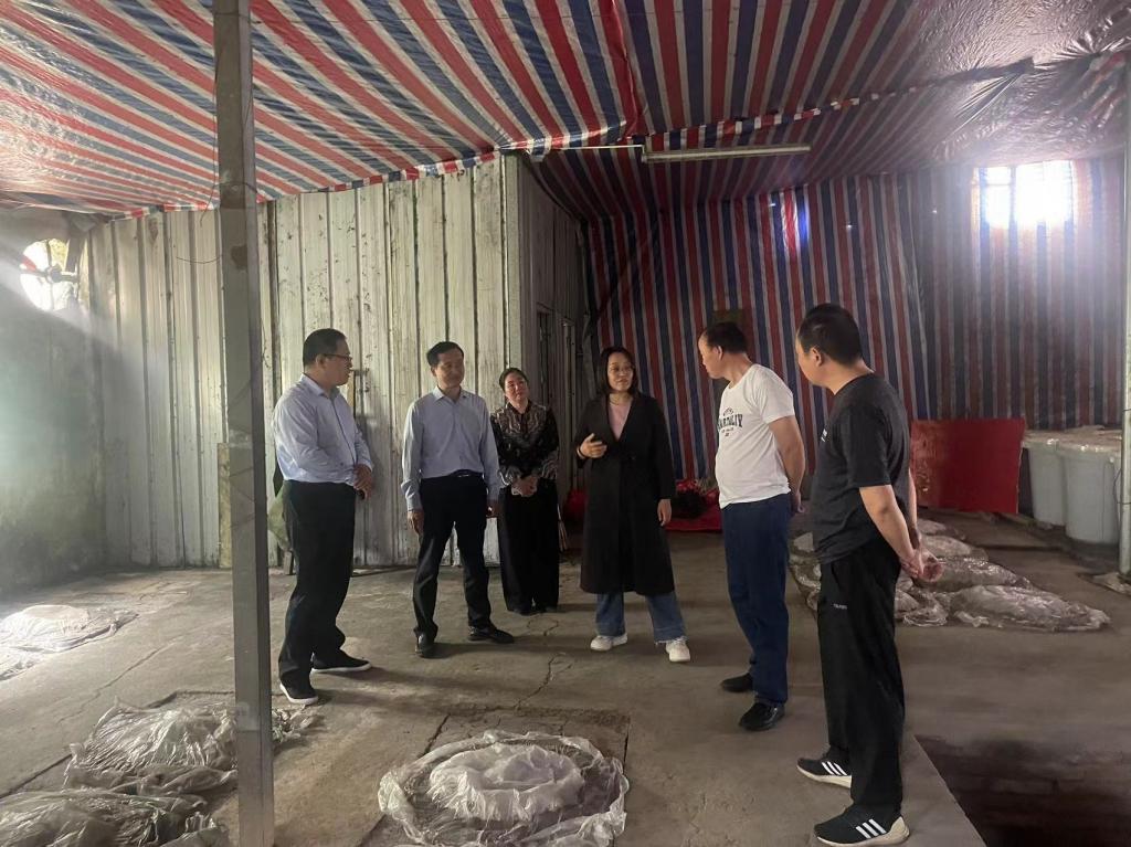 9888f8c1d811738adaeb9de252e88d5 9888f8c1d811738adaeb9de252e88d5