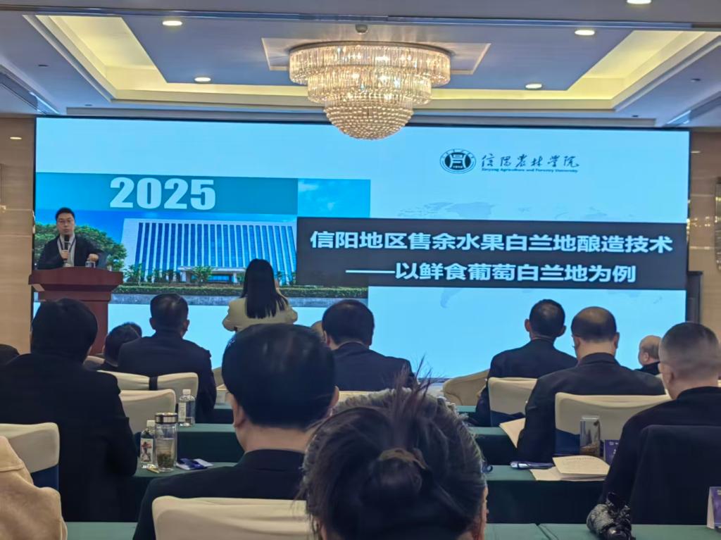 33187247f86561cc5258416b20704ea9