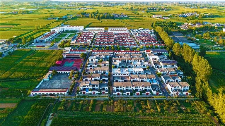 今年河南“三农”工作这样干！